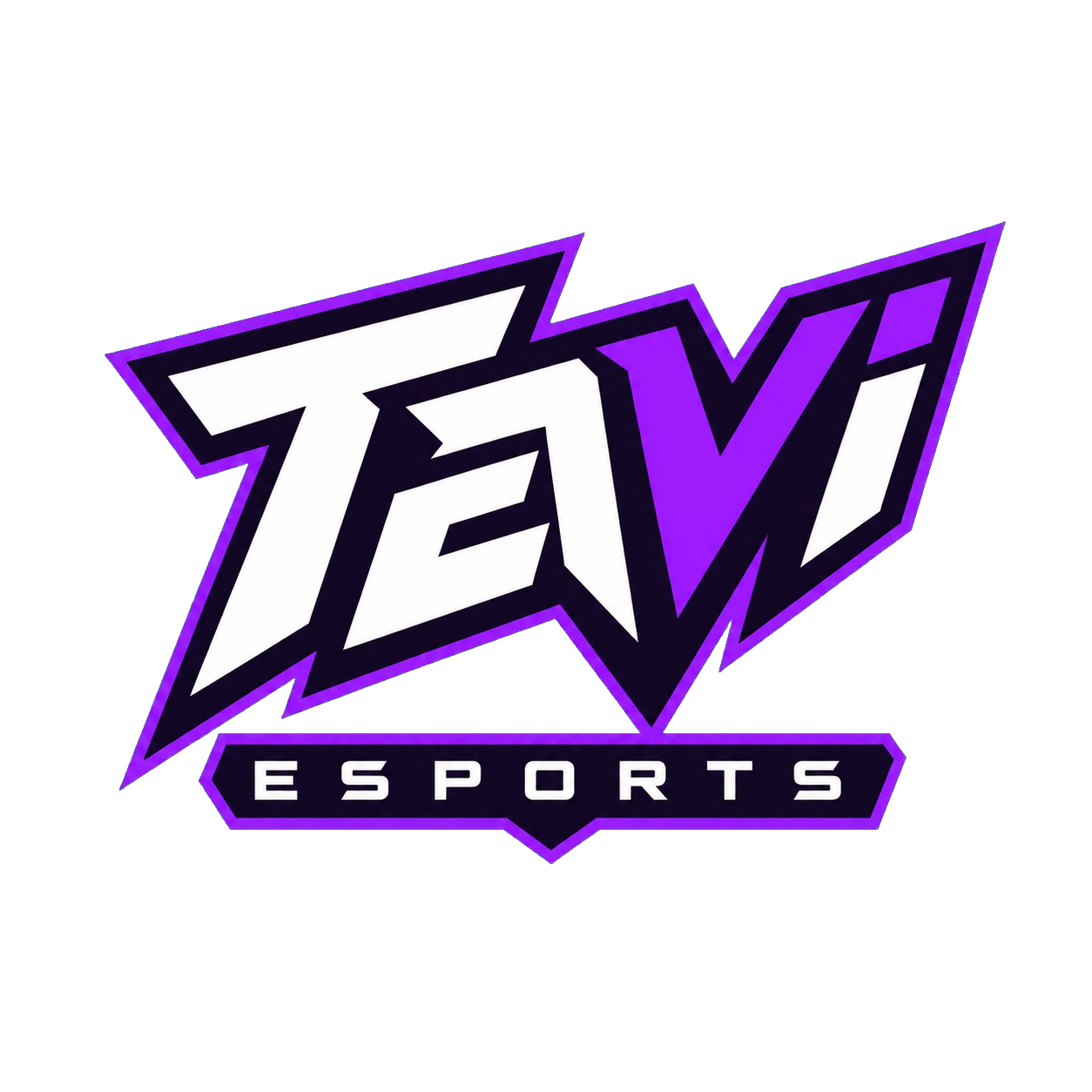 TaVi Esports